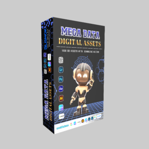 Mega Date Digital Assets e book - www.Blisnok.com